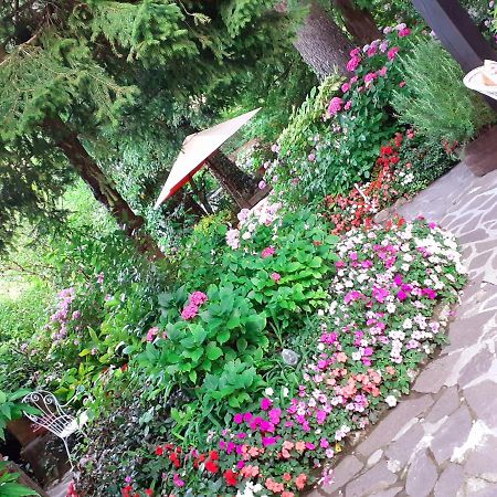 Albergo La Baita Corfino Ngoại thất bức ảnh